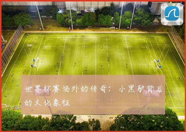 世界杯赛场外的传奇：小黑驴背后的文化象征