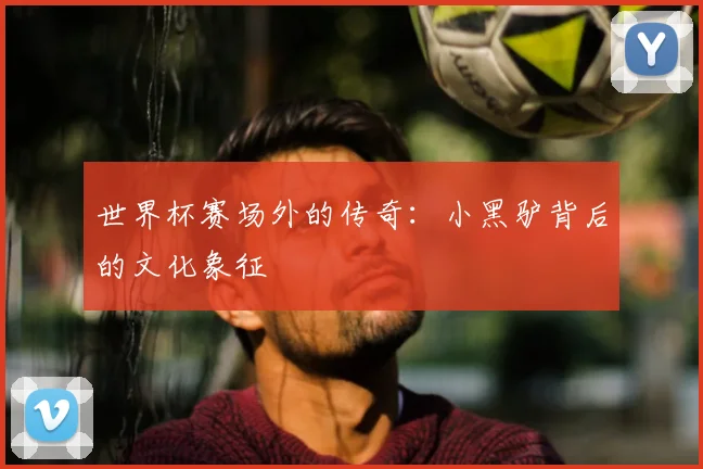 世界杯赛场外的传奇：小黑驴背后的文化象征